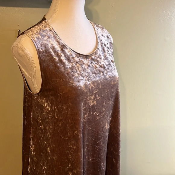 Molly Green Lindsay mushroom velour sleeveless swing mini dress - Picture 6 of 13